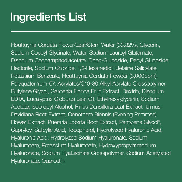 Anua Heartleaf Quercetinol Pore Deep Cleansing Foam