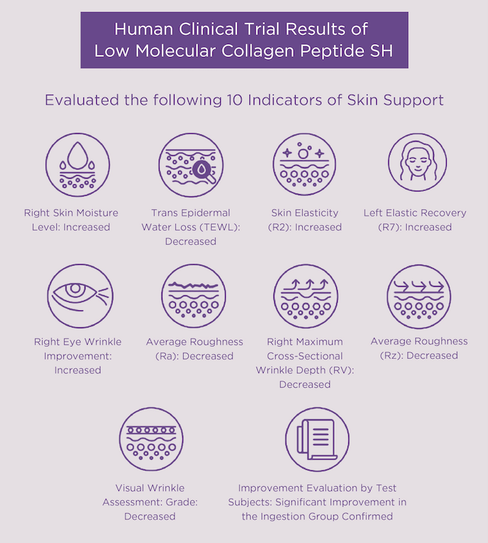 Infographic showing human clinical trial results for low molecular collagen peptides, highlighting skin support indicators.