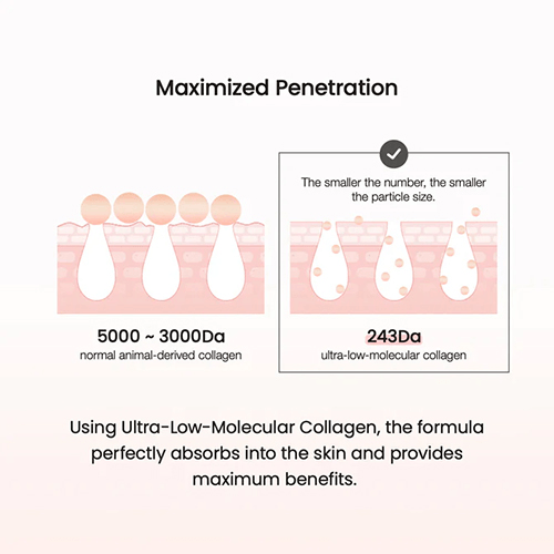 Biodance Pore Tightening Collagen Cream