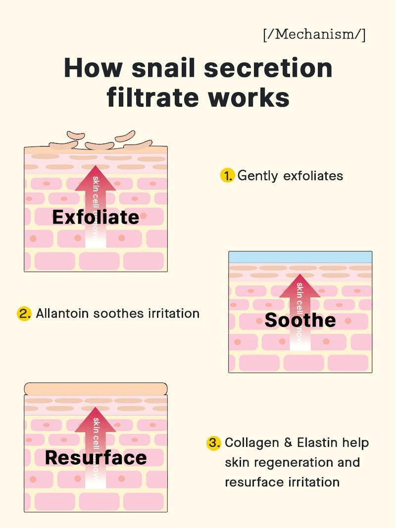 How snail secretion filtrate works: exfoliate, soothe, and resurface for glowing skin.