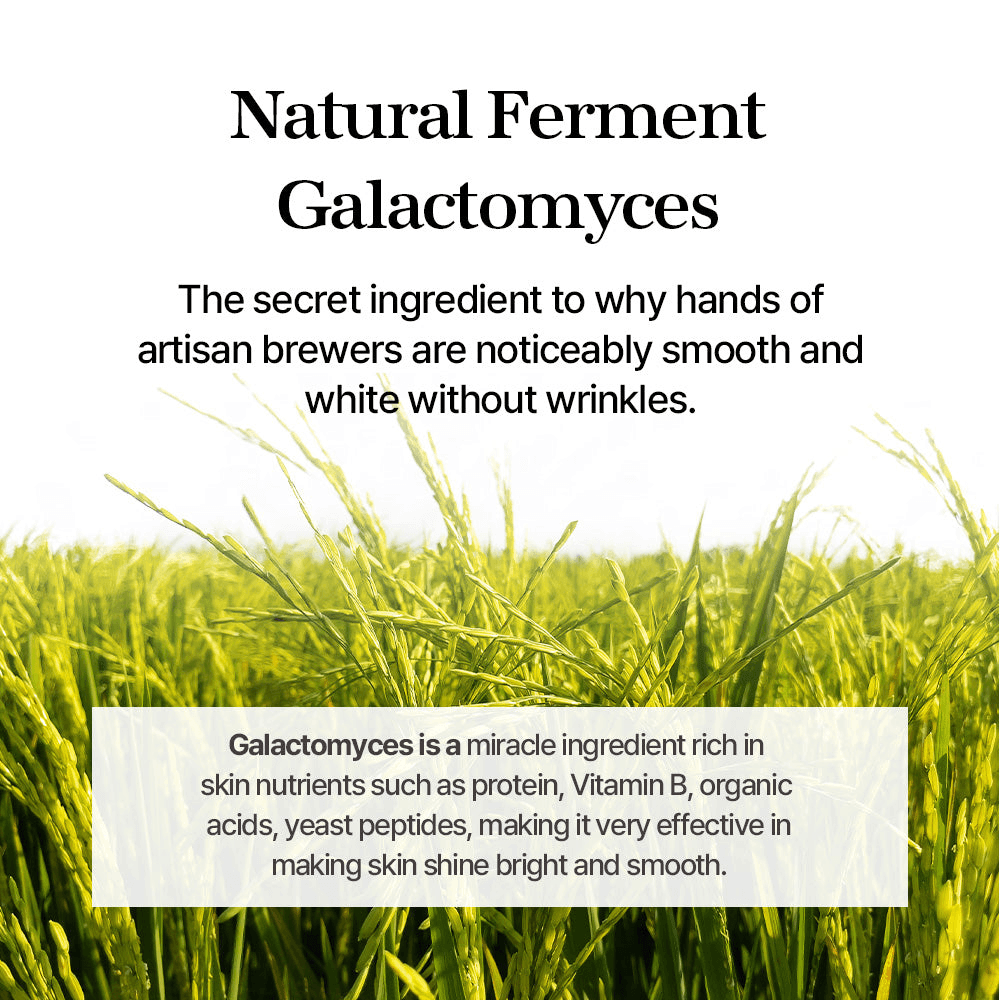 mixsoon Galactomyces Essence with smooth, white texture and nutrient-rich properties for bright and smooth skin.