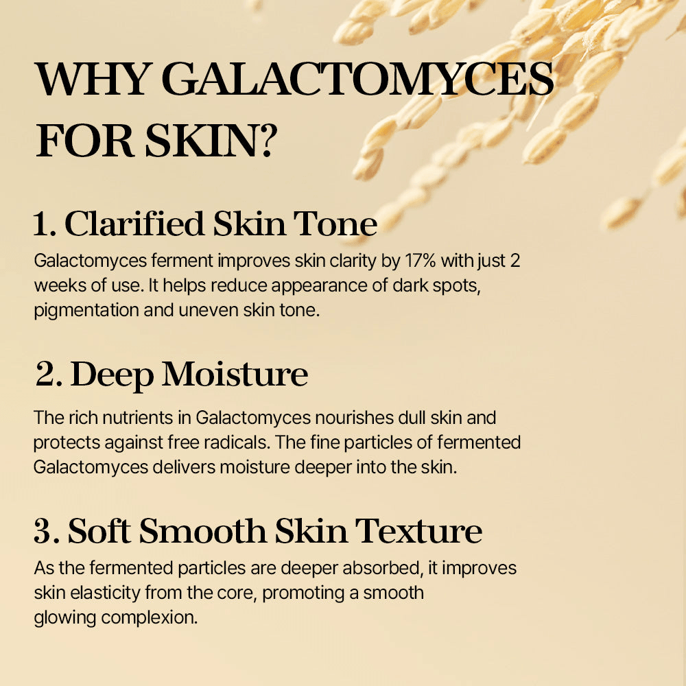 Why Galactomyces for skin? Benefits of mixsoon Galactomyces Essence: clarified skin tone, deep moisture, soft smooth texture.